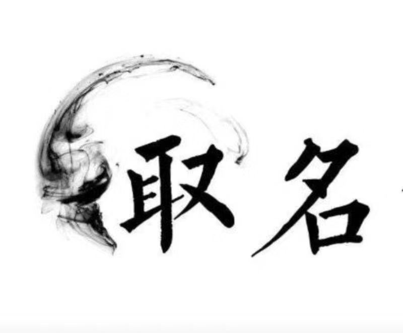  乐陵宝宝取名 大师一对一人工起名